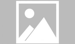 娱乐圈吃瓜教授,吃瓜教授带你探秘明星幕后故事